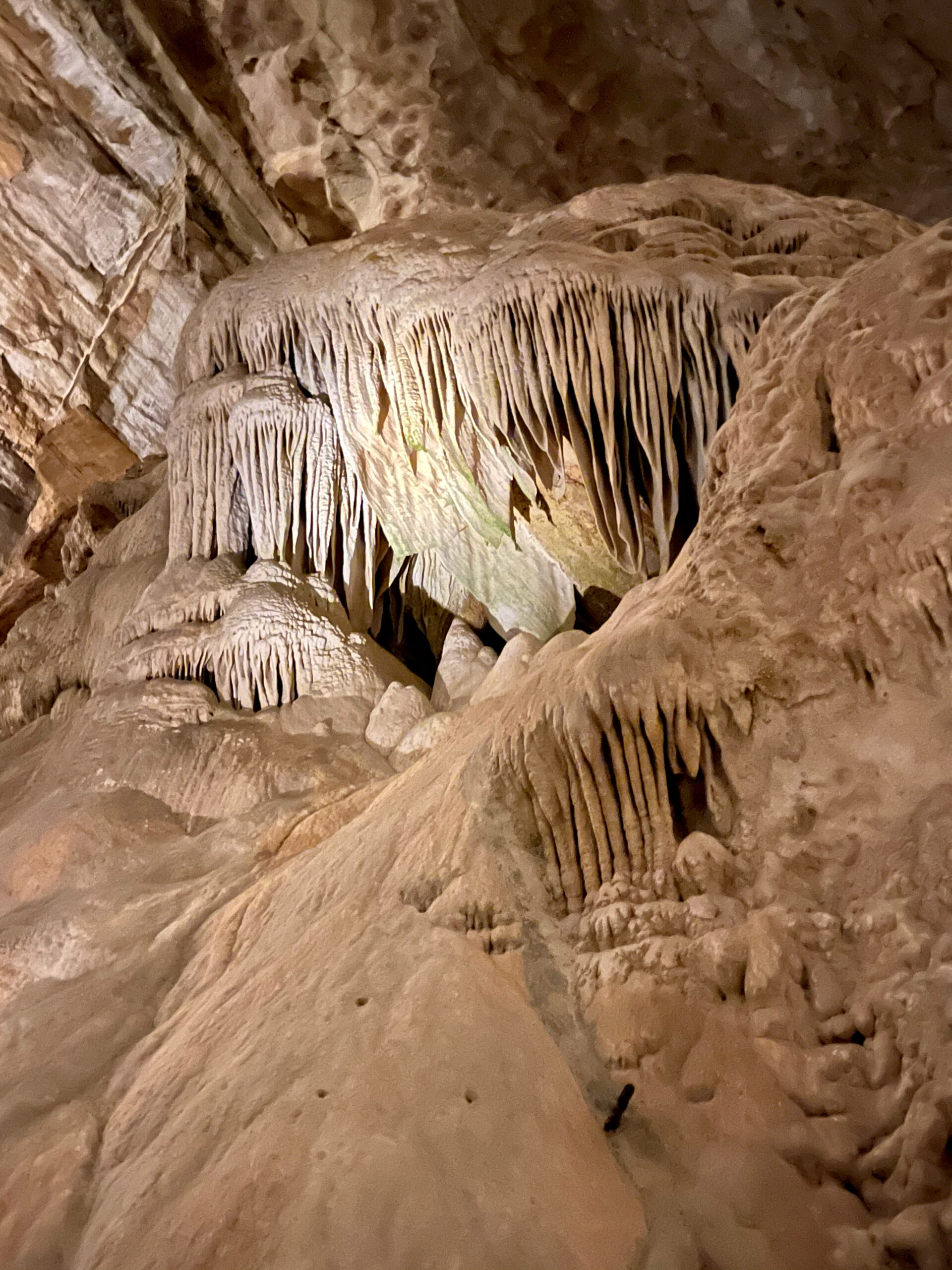 Carlsbad Caverns National Park