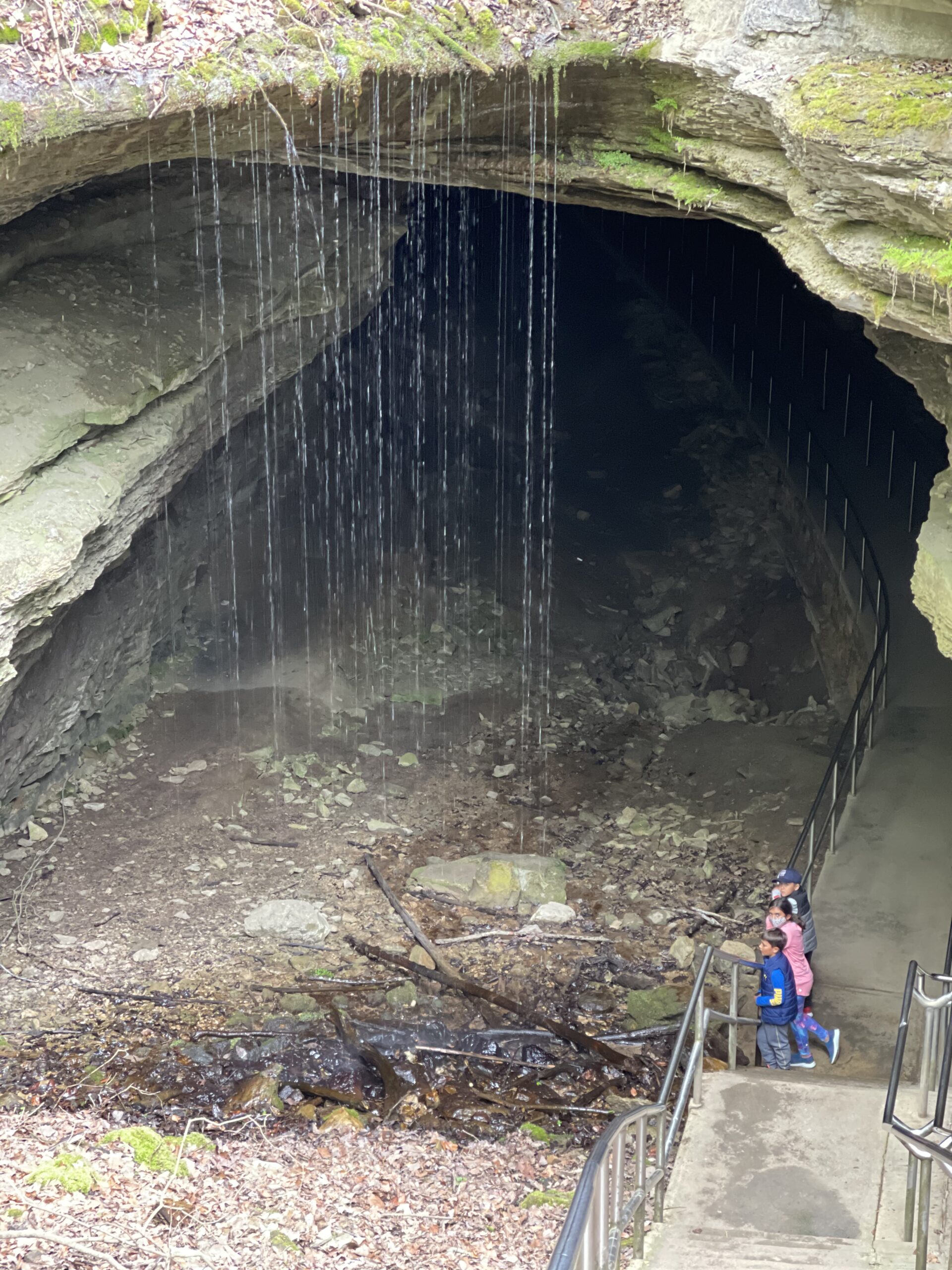 Mammoth Cave National Park