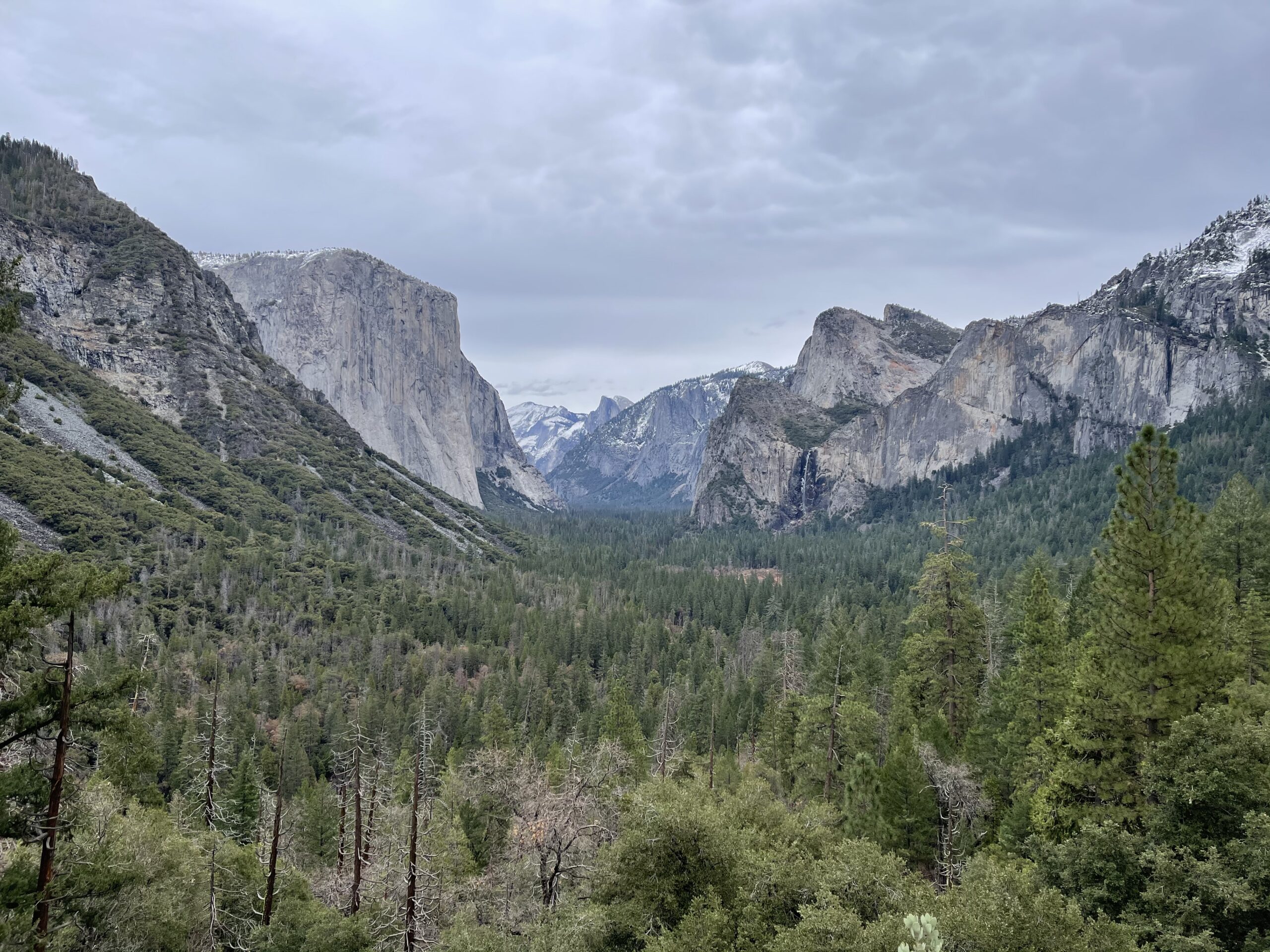 Yosemite National Park