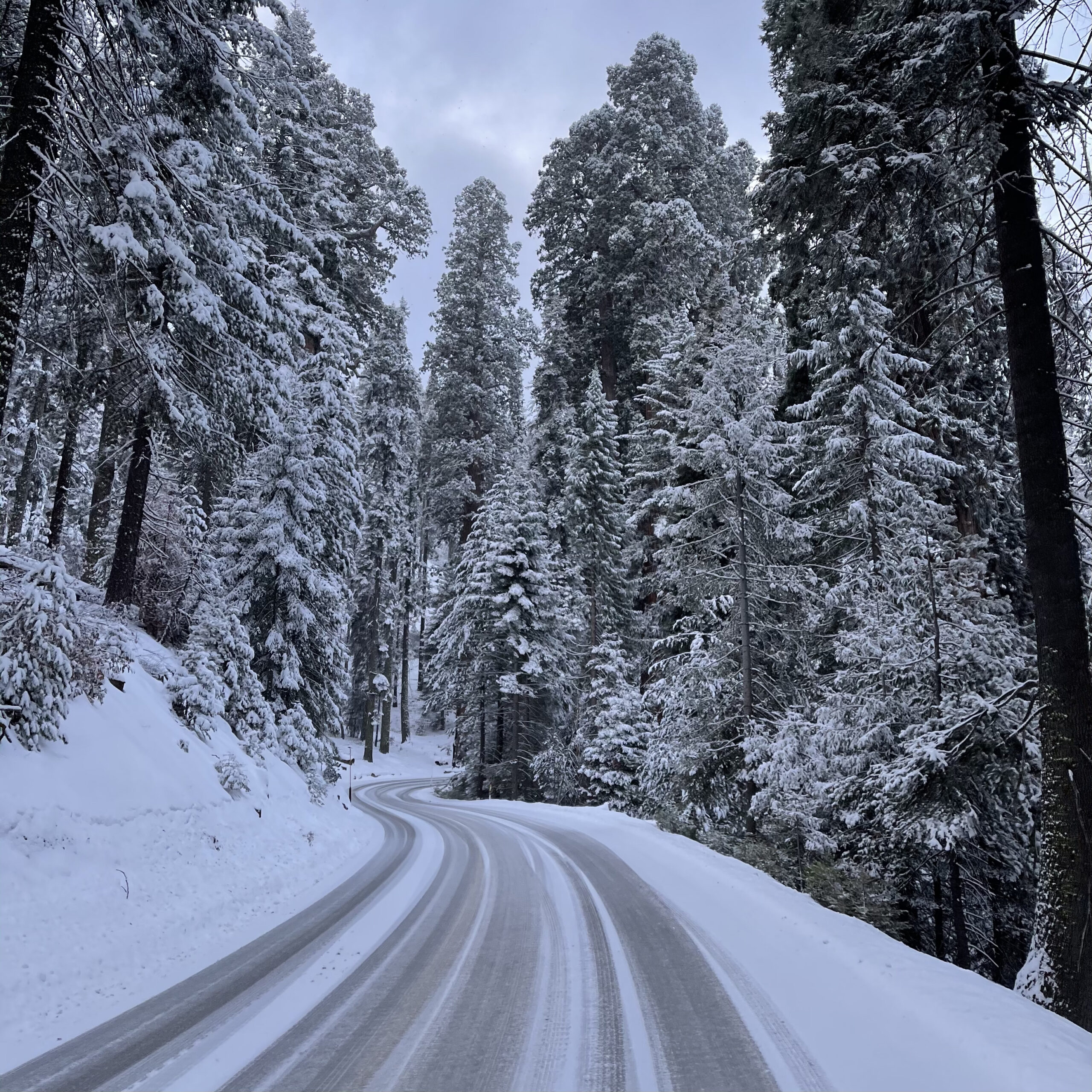 Sequoia National Park