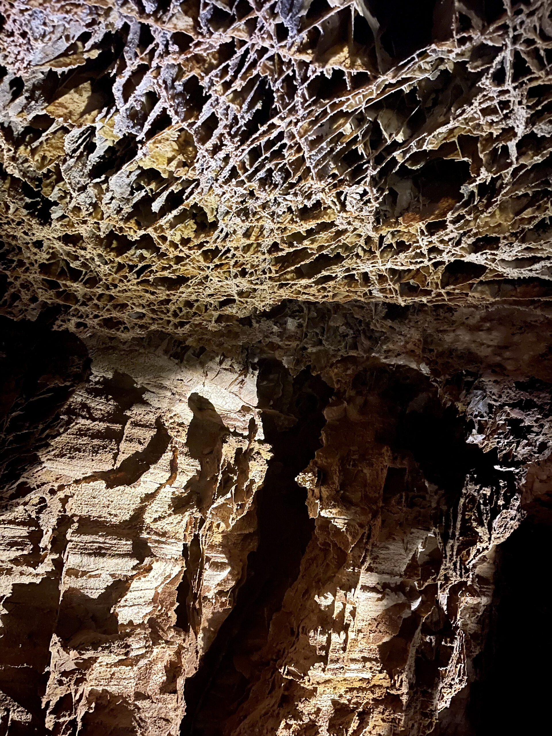 Wind Cave National Park