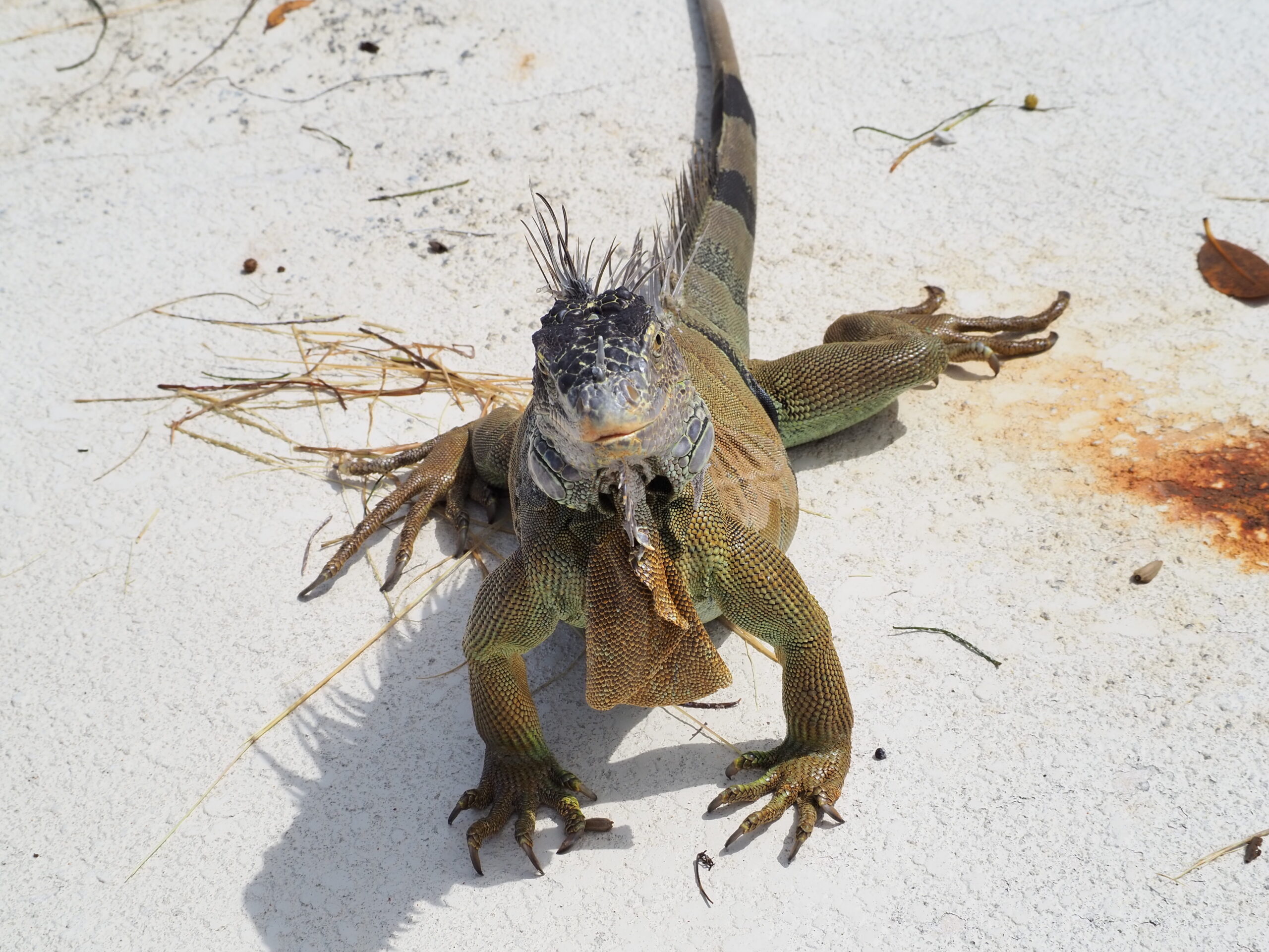 Biscayne National Park