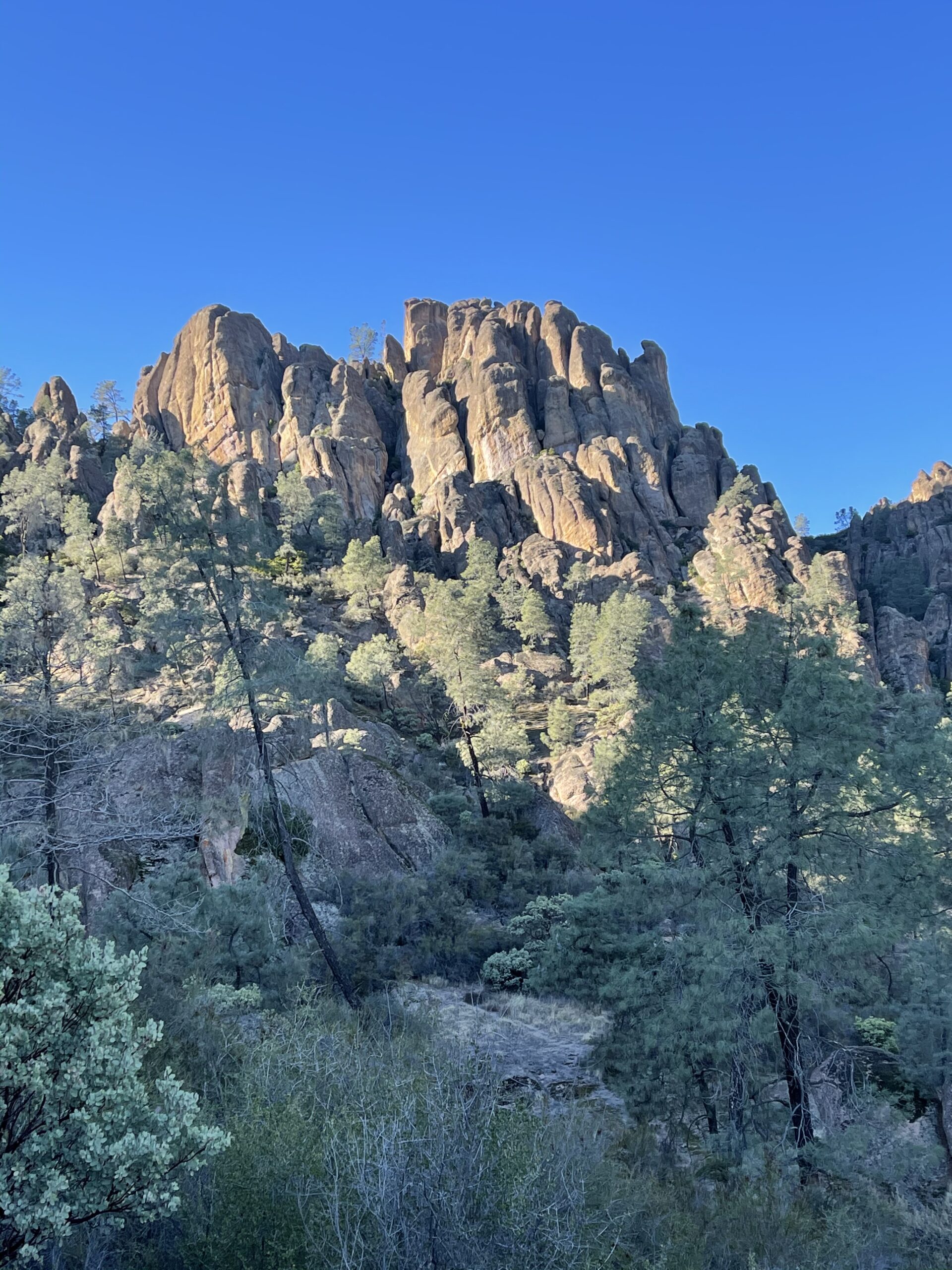 Pinnacles National Park