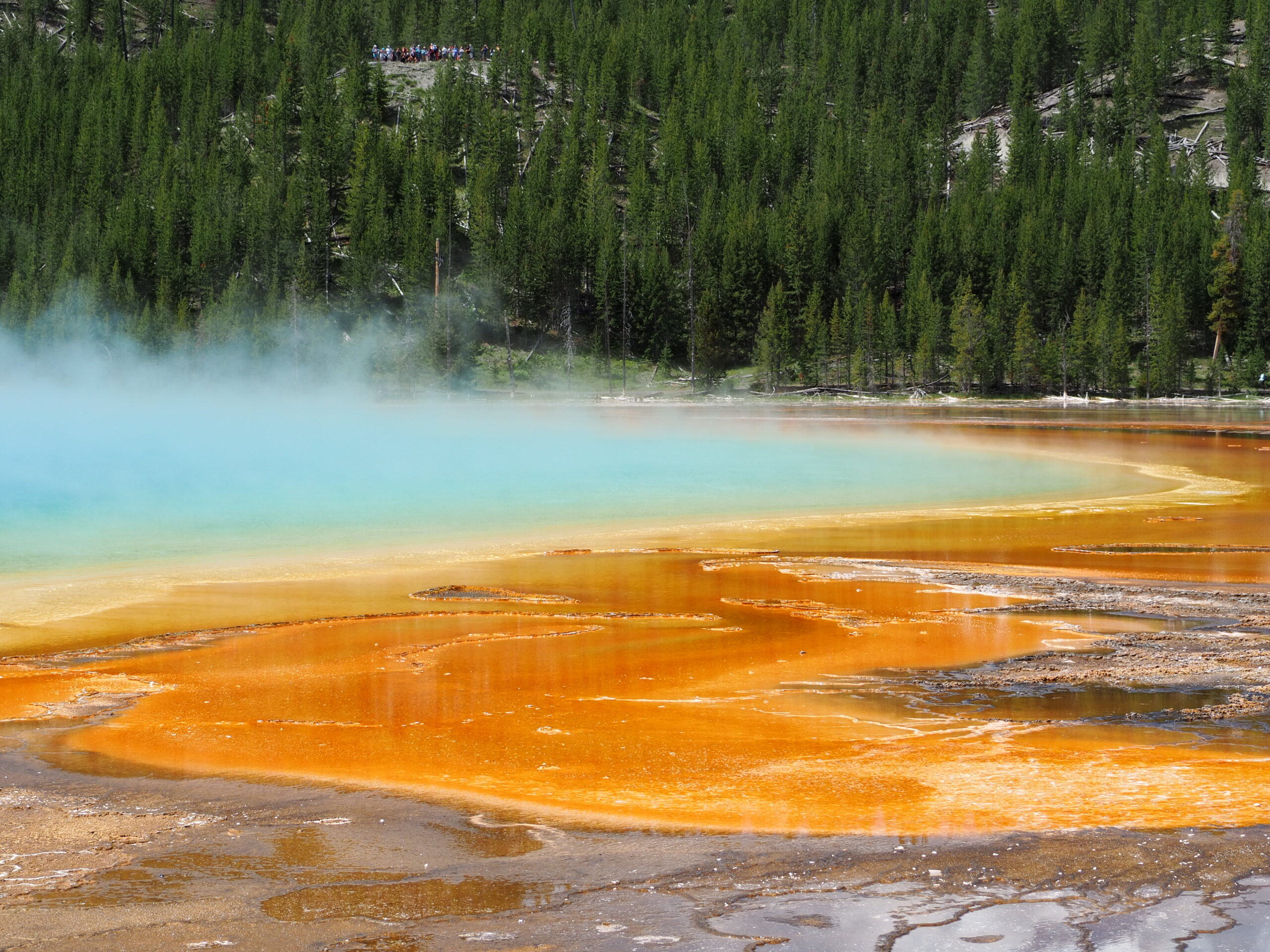 Yellowstone National Park